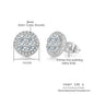 Hip-hop Ice Studded Earring for Men